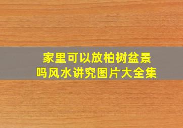 家里可以放柏树盆景吗风水讲究图片大全集