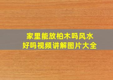 家里能放柏木吗风水好吗视频讲解图片大全