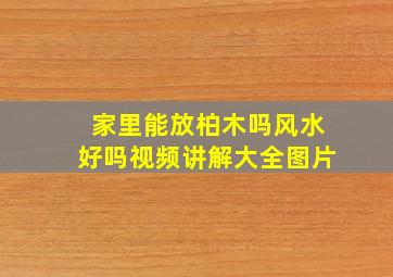 家里能放柏木吗风水好吗视频讲解大全图片