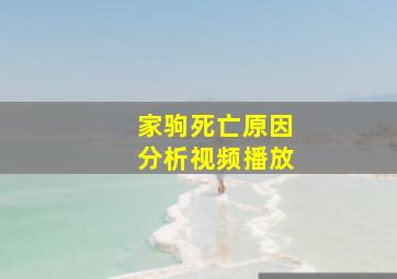 家驹死亡原因分析视频播放