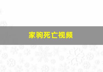 家驹死亡视频