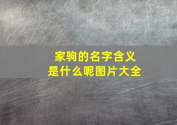 家驹的名字含义是什么呢图片大全