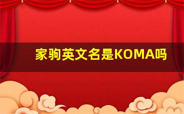 家驹英文名是KOMA吗