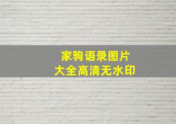 家驹语录图片大全高清无水印