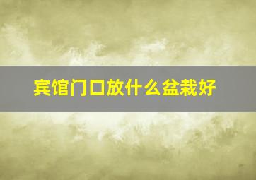 宾馆门口放什么盆栽好