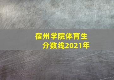 宿州学院体育生分数线2021年