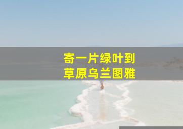 寄一片绿叶到草原乌兰图雅