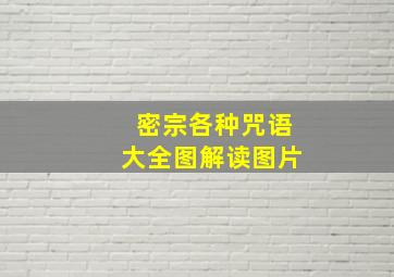 密宗各种咒语大全图解读图片