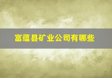 富蕴县矿业公司有哪些