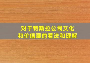 对于特斯拉公司文化和价值观的看法和理解