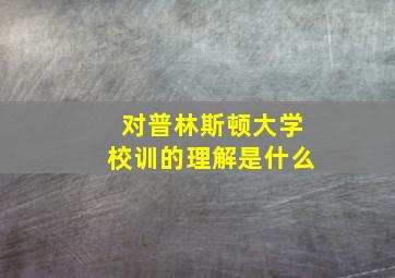 对普林斯顿大学校训的理解是什么