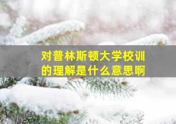 对普林斯顿大学校训的理解是什么意思啊