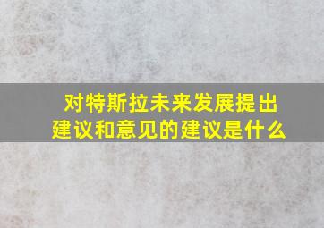 对特斯拉未来发展提出建议和意见的建议是什么