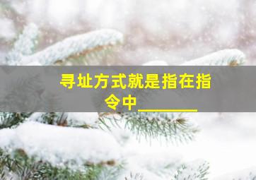 寻址方式就是指在指令中_______