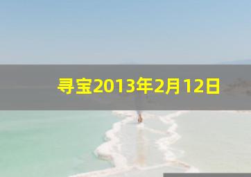 寻宝2013年2月12日