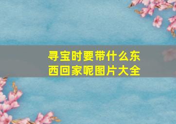 寻宝时要带什么东西回家呢图片大全