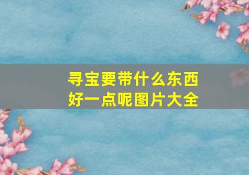 寻宝要带什么东西好一点呢图片大全