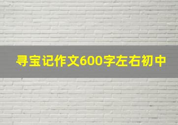 寻宝记作文600字左右初中