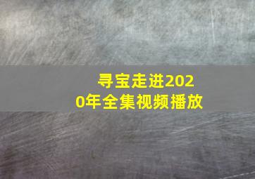 寻宝走进2020年全集视频播放