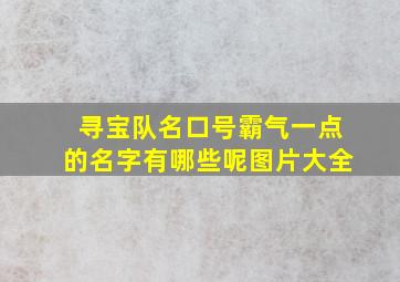 寻宝队名口号霸气一点的名字有哪些呢图片大全