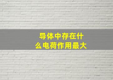 导体中存在什么电荷作用最大