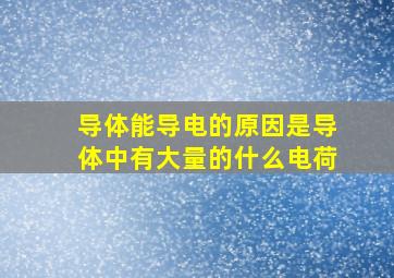 导体能导电的原因是导体中有大量的什么电荷