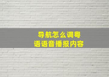 导航怎么调粤语语音播报内容