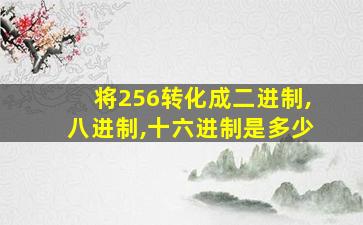 将256转化成二进制,八进制,十六进制是多少