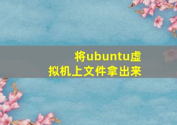 将ubuntu虚拟机上文件拿出来