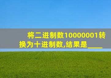 将二进制数10000001转换为十进制数,结果是____