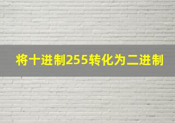 将十进制255转化为二进制