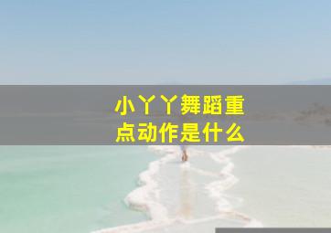 小丫丫舞蹈重点动作是什么