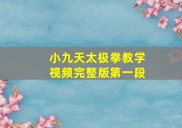 小九天太极拳教学视频完整版第一段