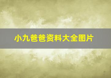 小九爸爸资料大全图片