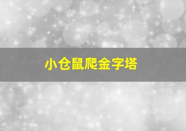 小仓鼠爬金字塔