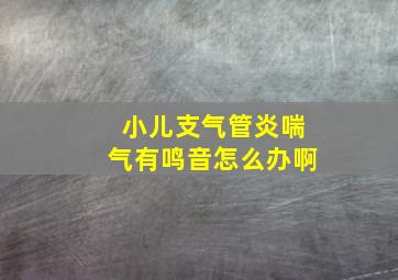 小儿支气管炎喘气有鸣音怎么办啊