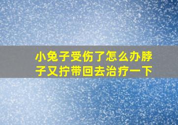 小兔子受伤了怎么办脖子又拧带回去治疗一下