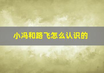 小冯和路飞怎么认识的