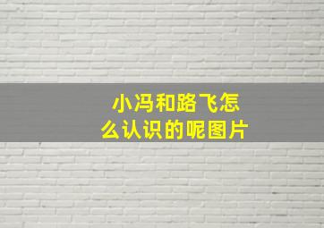 小冯和路飞怎么认识的呢图片