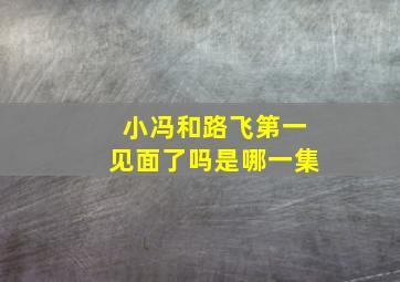 小冯和路飞第一见面了吗是哪一集