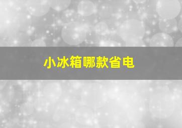 小冰箱哪款省电