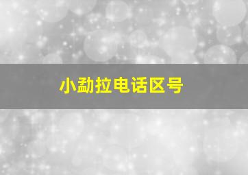 小勐拉电话区号