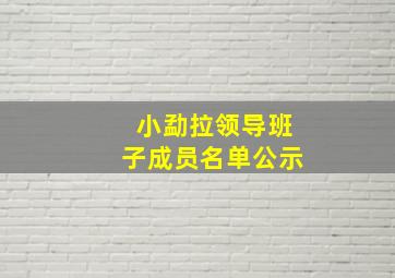 小勐拉领导班子成员名单公示