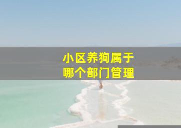 小区养狗属于哪个部门管理