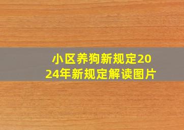 小区养狗新规定2024年新规定解读图片