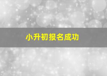 小升初报名成功