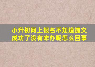 小升初网上报名不知道提交成功了没有咋办呢怎么回事