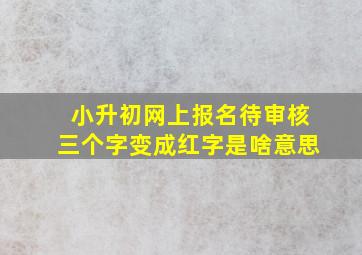 小升初网上报名待审核三个字变成红字是啥意思