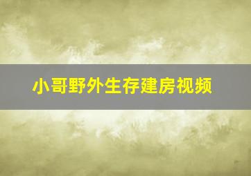 小哥野外生存建房视频