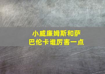 小威廉姆斯和萨巴伦卡谁厉害一点